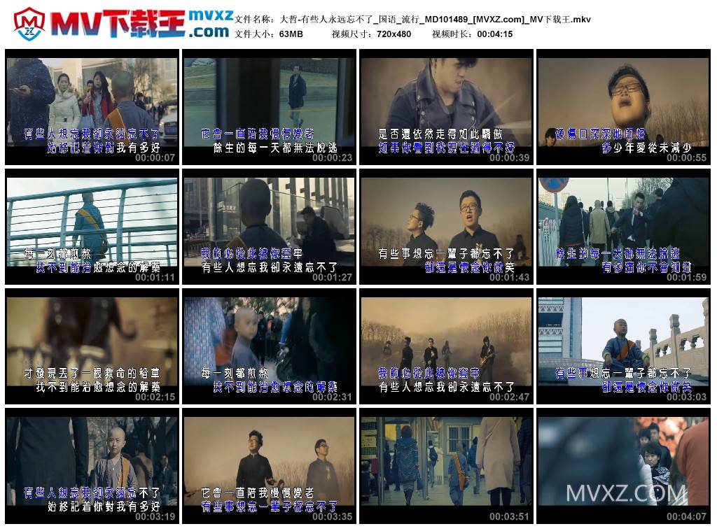 大哲-有些人永远忘不了_国语_流行_MD101489